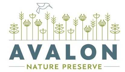 Avalon Nature Preserve