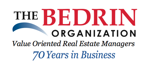 The Bedrin Organization